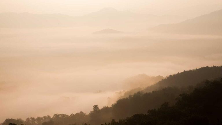 99Exch ?? ???? ???? ????? ???? ????